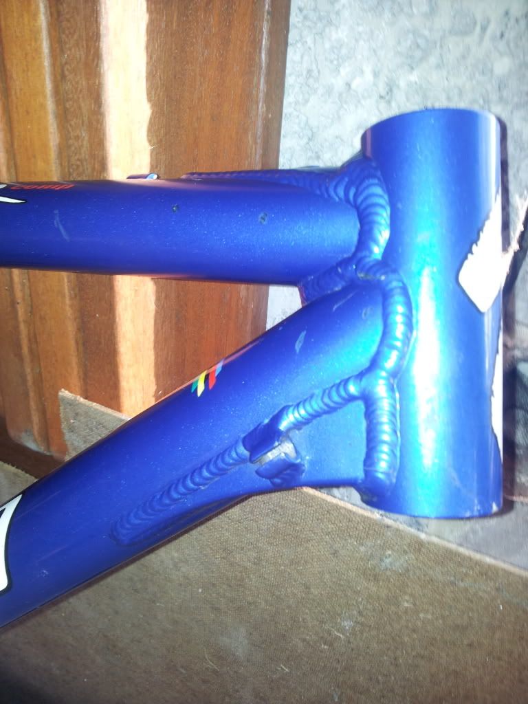 20120114_105414.jpg