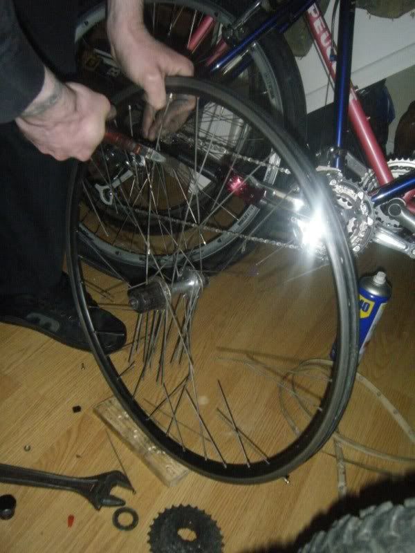 DSCF1843.jpg