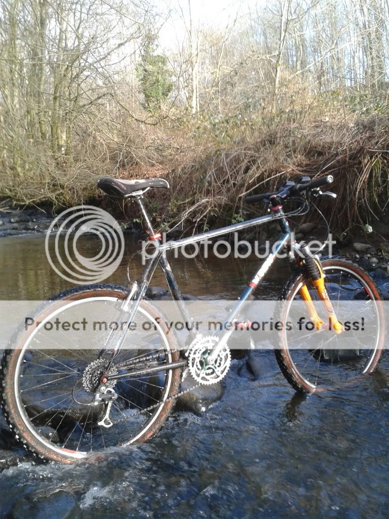 2012-02-19113440.jpg