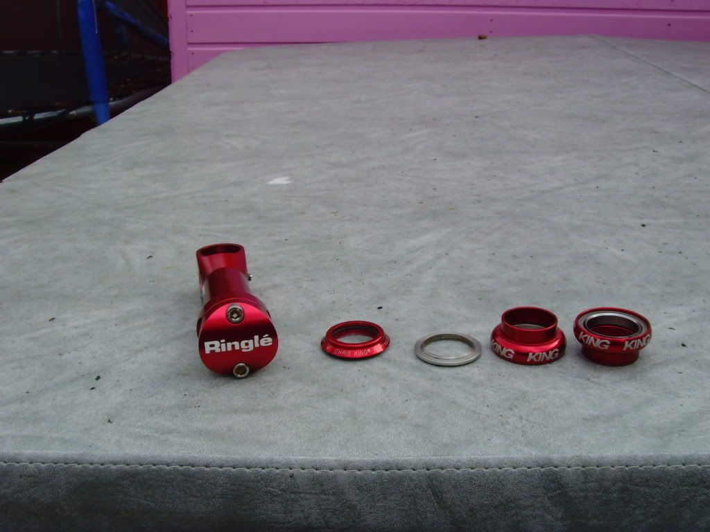 SNV35628.jpg