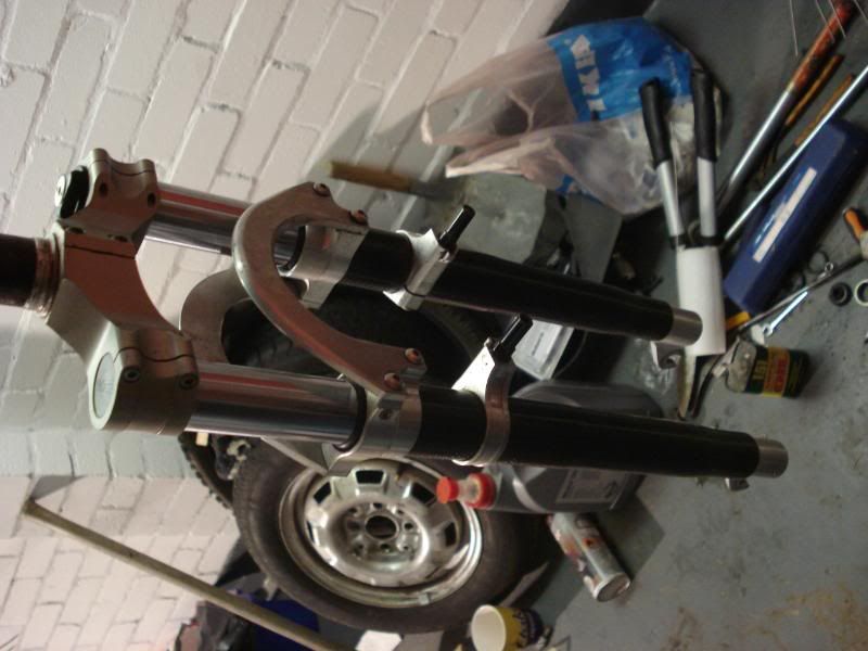 gt007.jpg