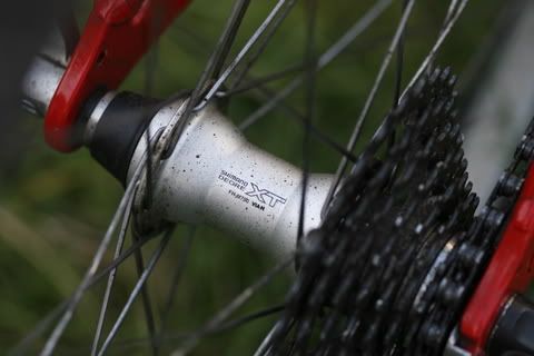 _MG_9037.jpg