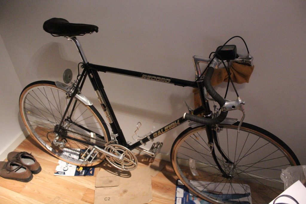 raleigh cruiser bike 1981