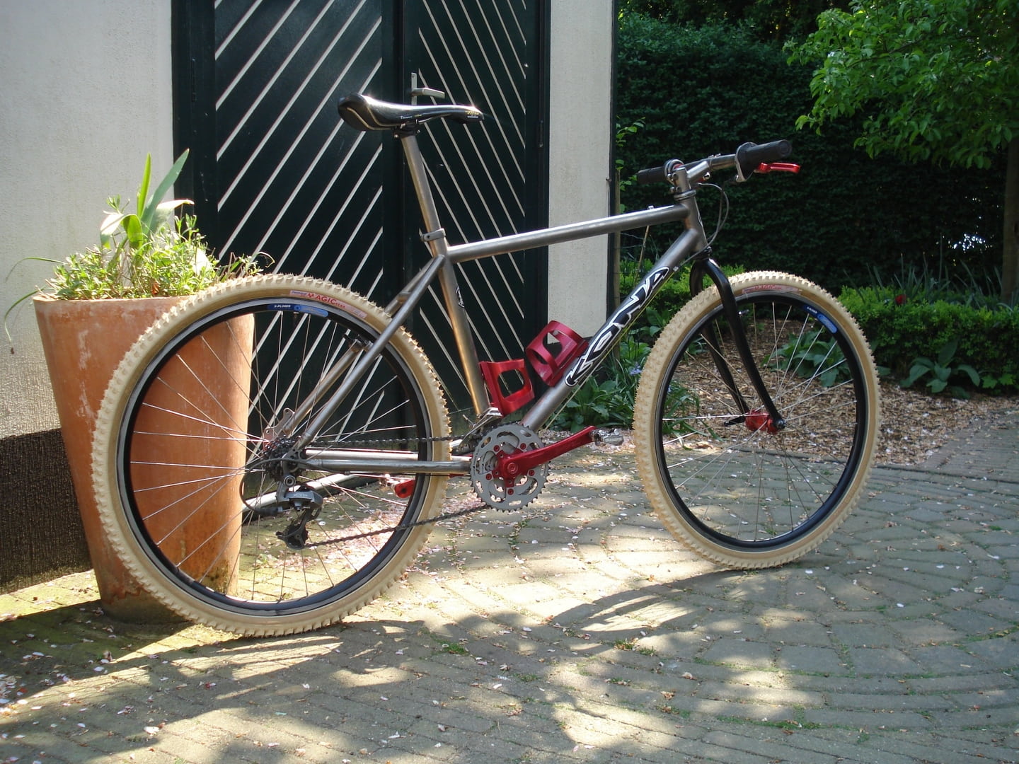 GroteFoto-NVWGRJ7T.jpg