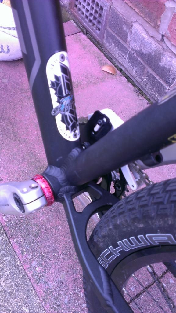 IMAG0642.jpg