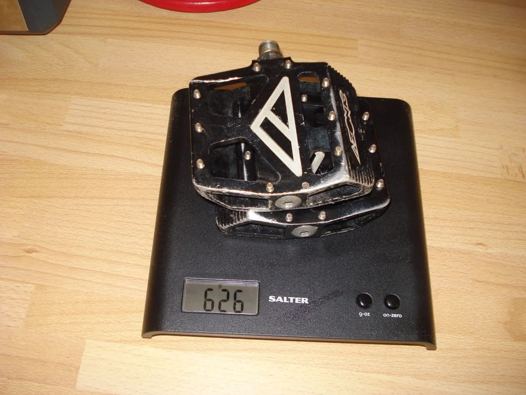 DSC03713.jpg