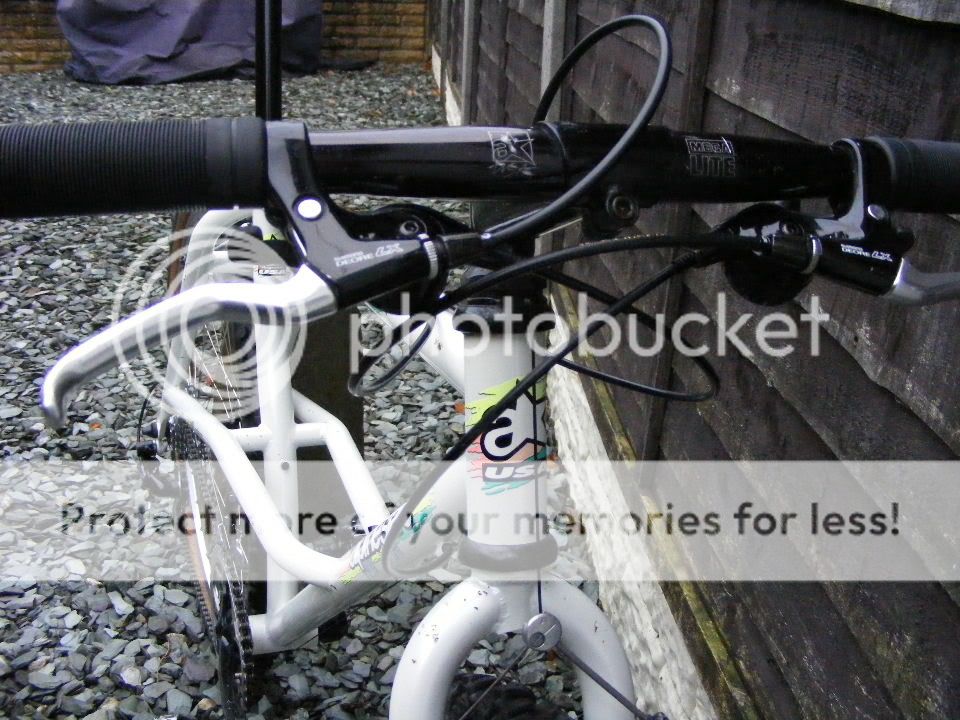 2010_1120lx0031-1.jpg