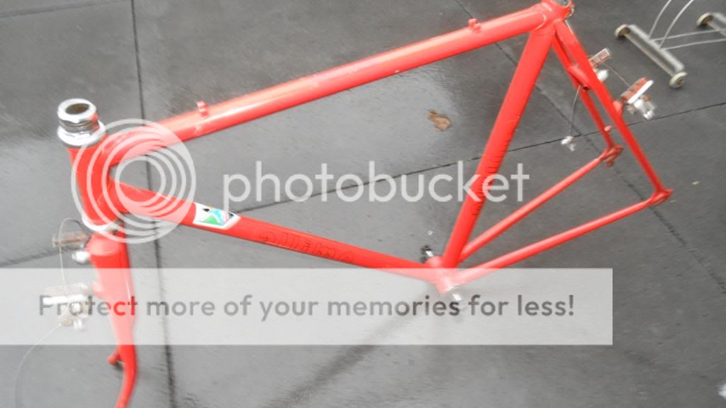 SAM_2034_zps547d1c97.jpg