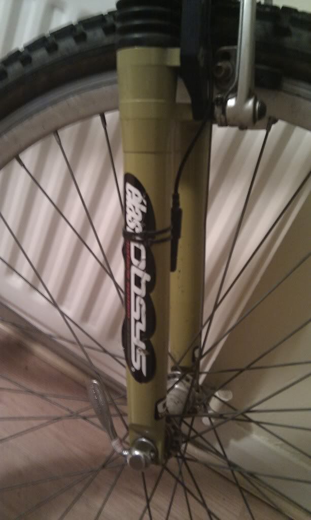 IMAG0207.jpg