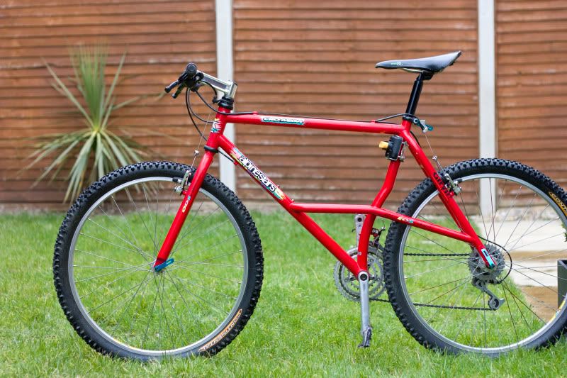 bike01.jpg