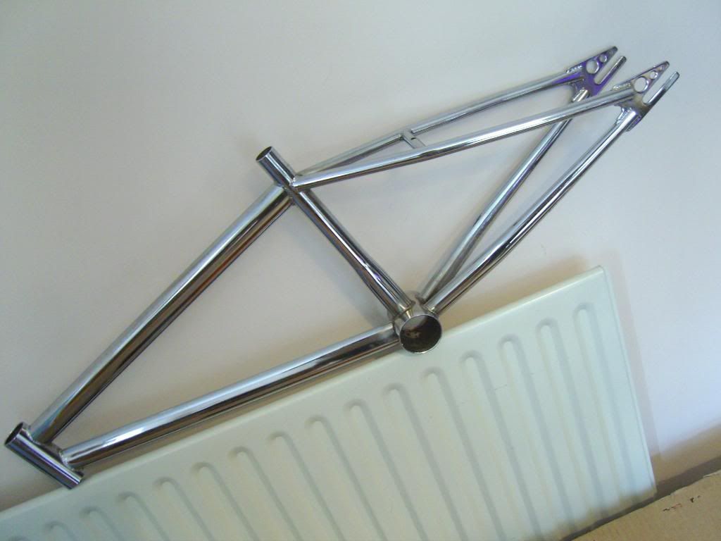 SNC10079.jpg