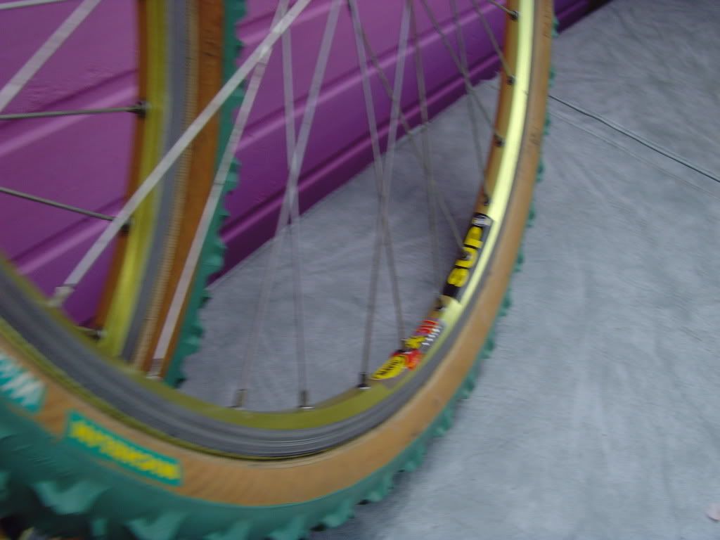 SNV36447.jpg