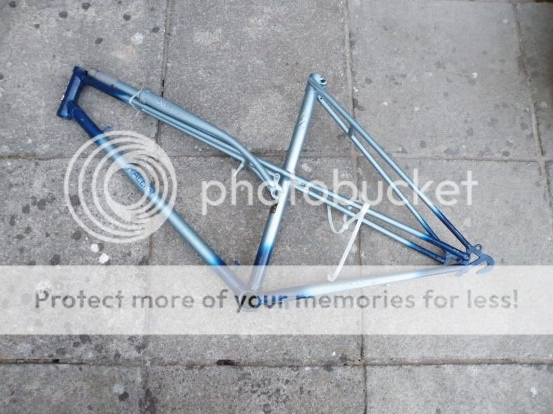DSCF6113.jpg