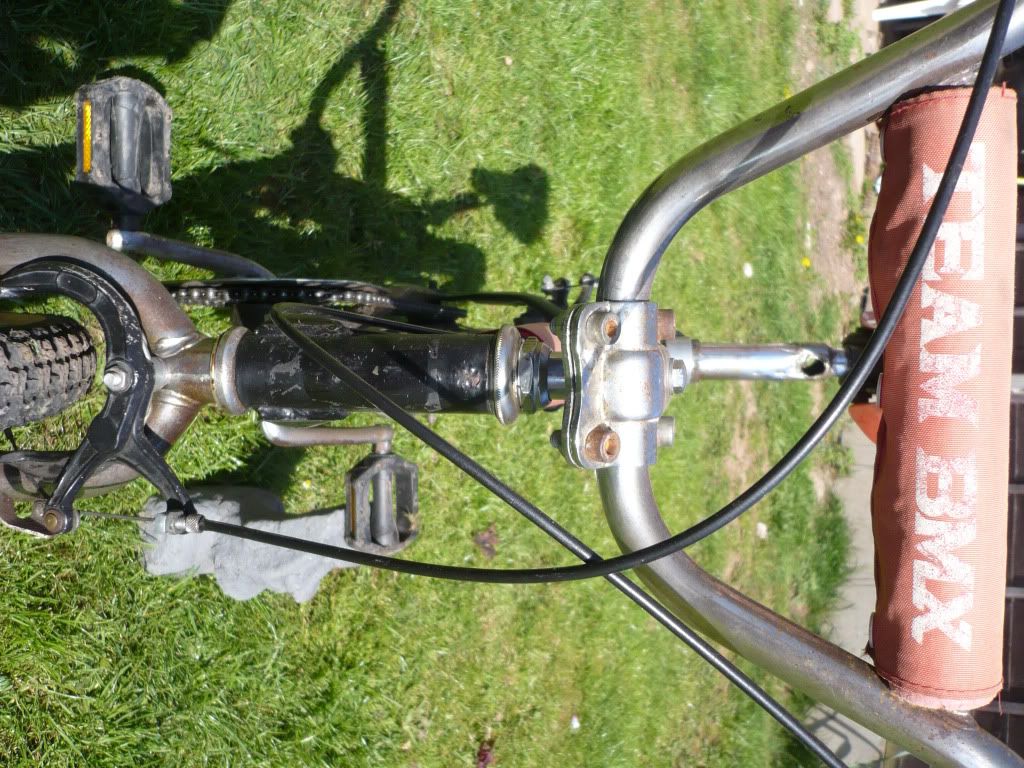 P1050020.jpg