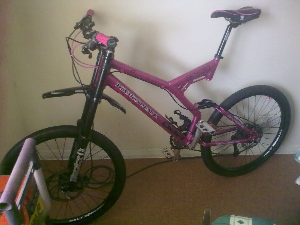 11082010008.jpg