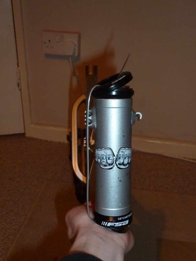 P1010244.jpg