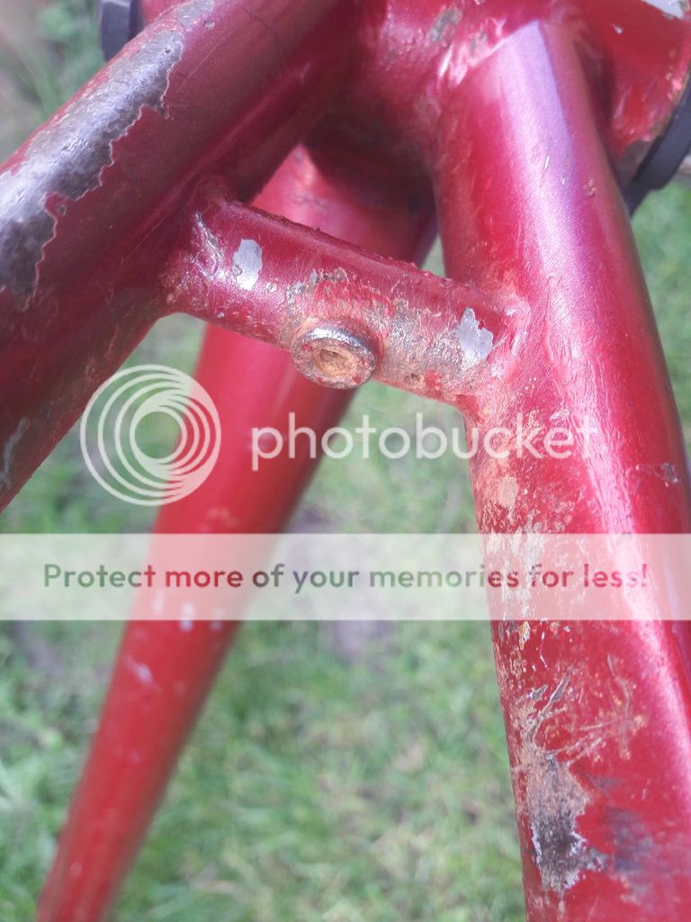 20180831_162845.jpg