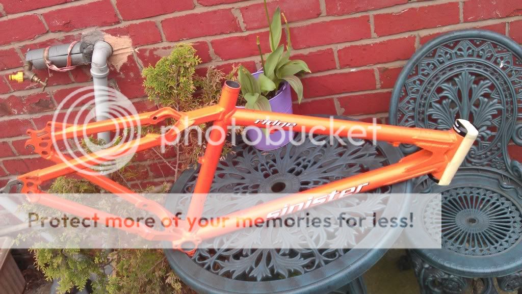 IMAG0023.jpg
