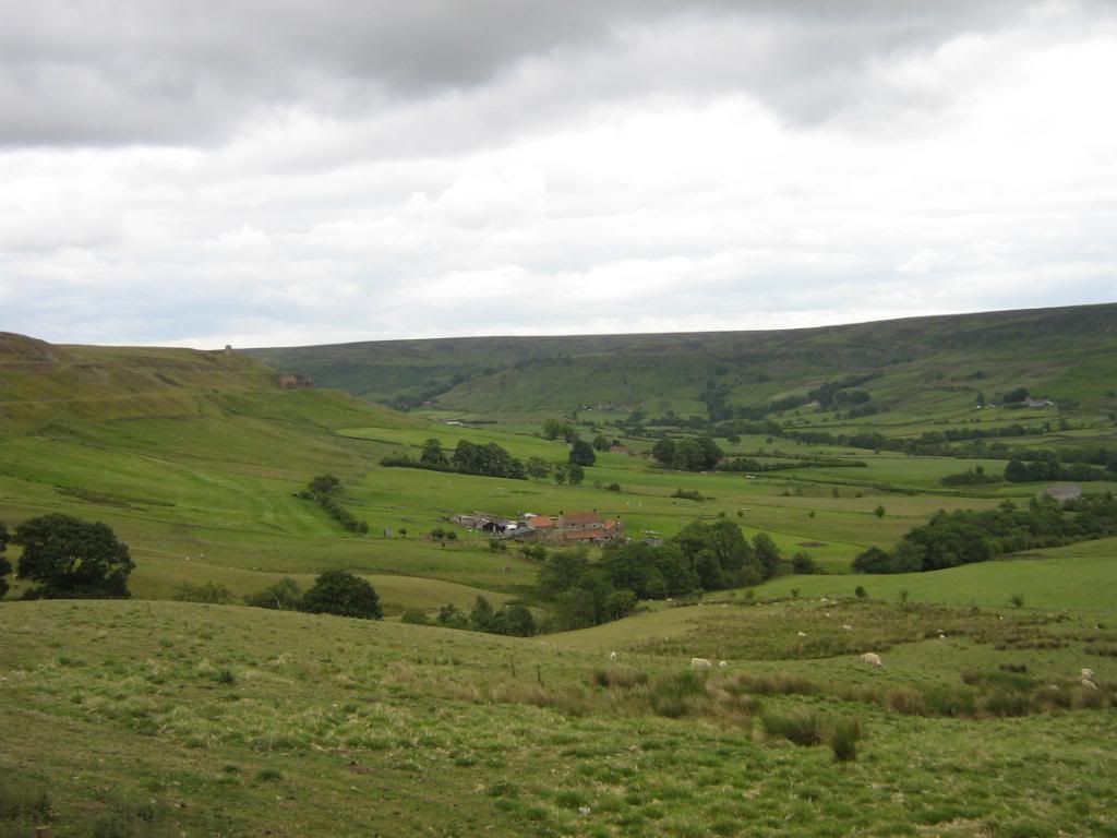 Picture235.jpg