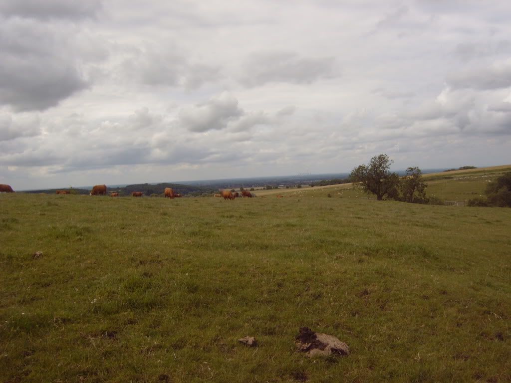 IMG00415.jpg