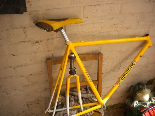 Campione_tt_01.jpg