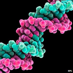 _65443771_c0090185-dna_molecule,_artwork-spl.jpg