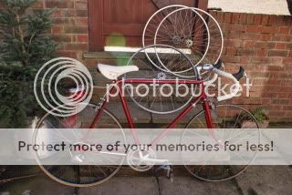 bikewhole.jpg