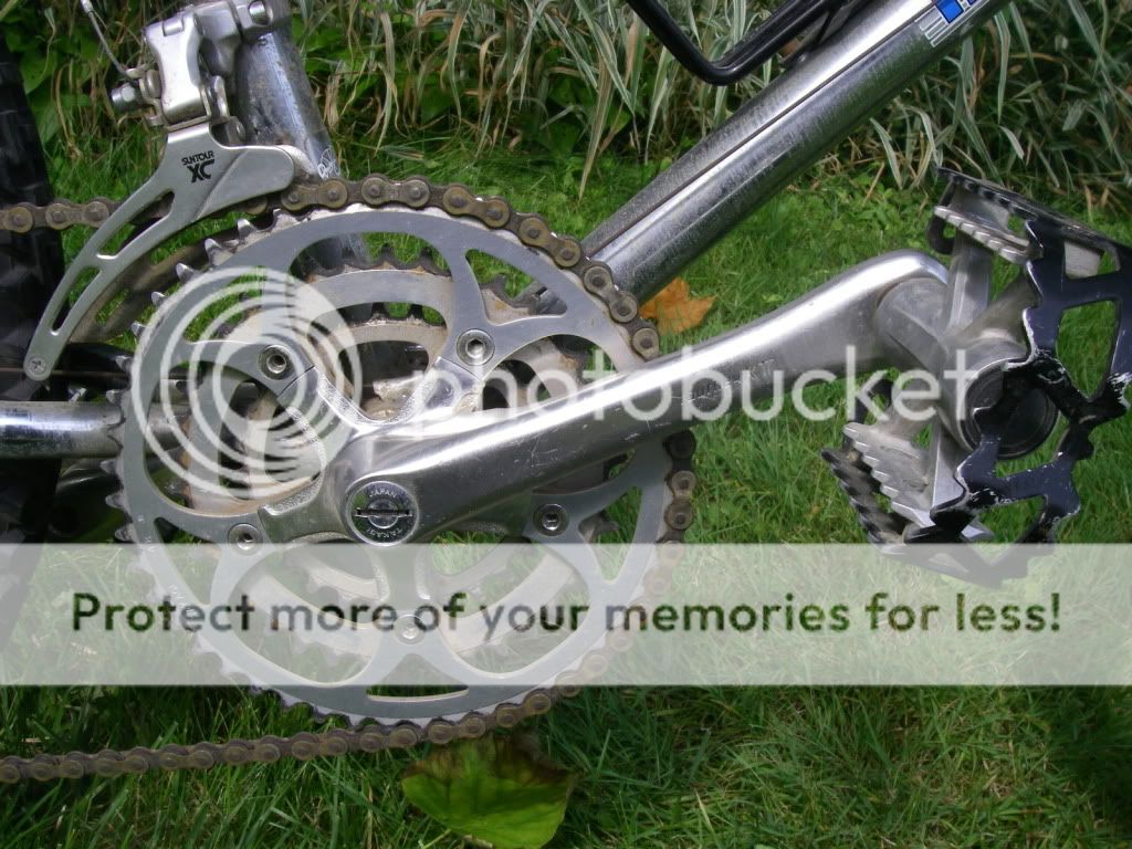 IMGP1158.jpg