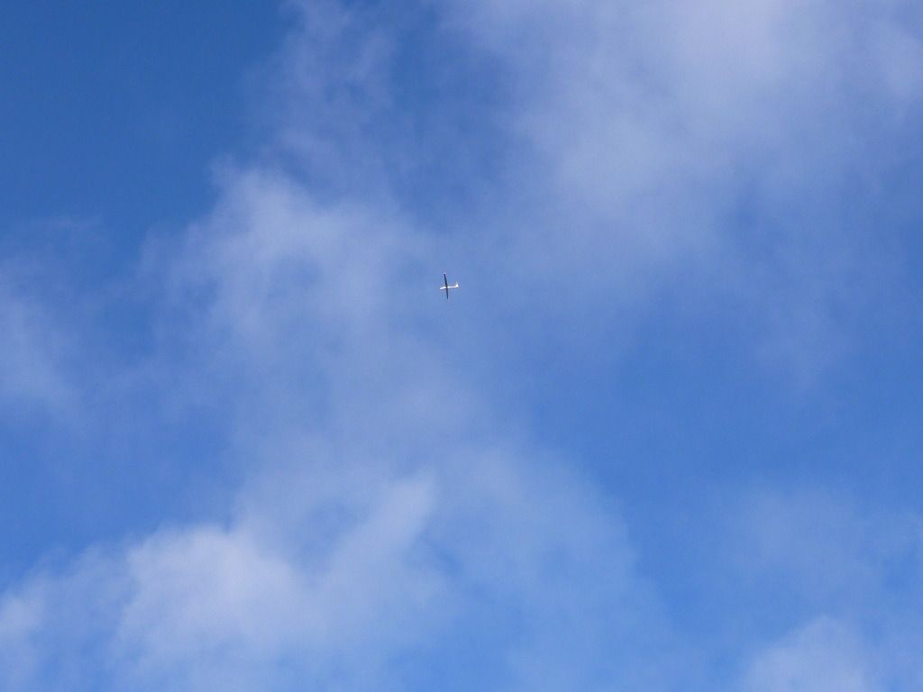 P1050035.jpg