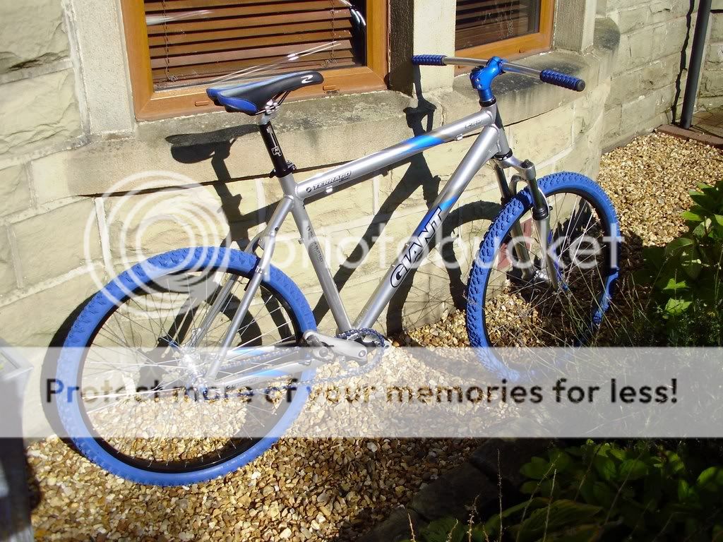 ebaybikes066.jpg