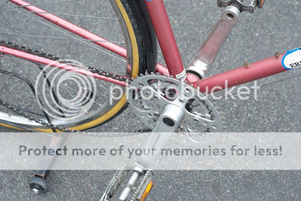 DSC_0385_zpsx3fbhh5z.jpg