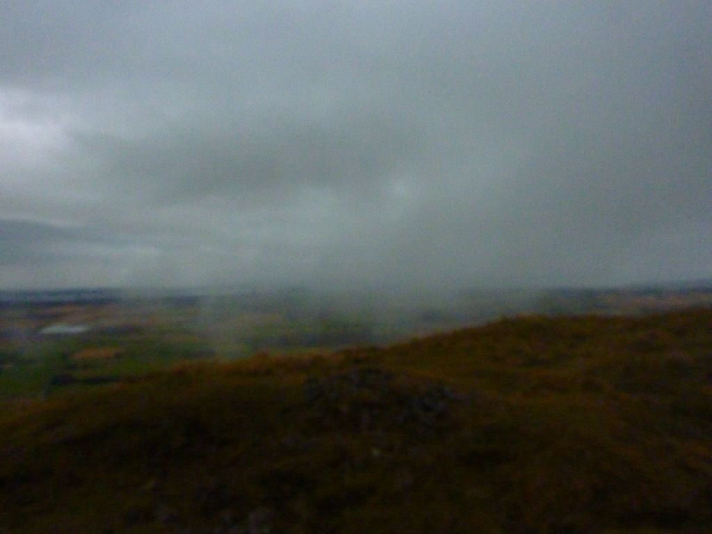 P1040810.jpg
