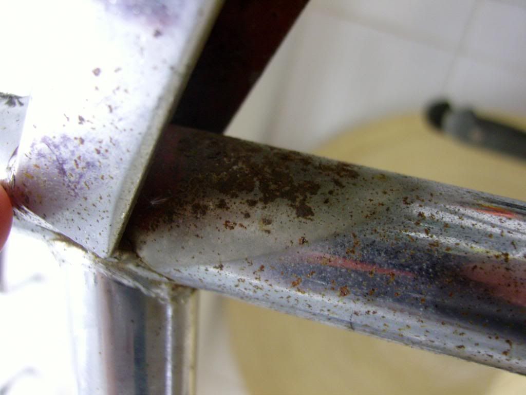 SNC17140.jpg