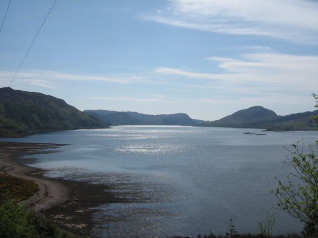 IMG_2577.jpg