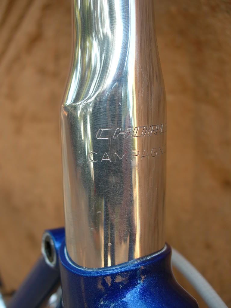 DSCN7654.jpg