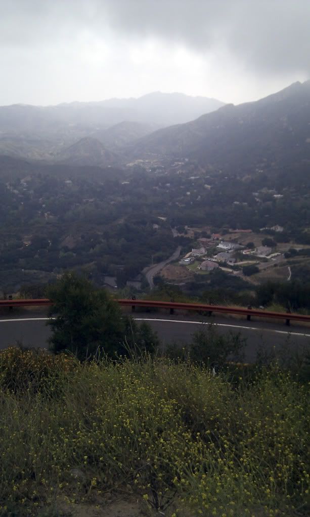 IMAG0219.jpg