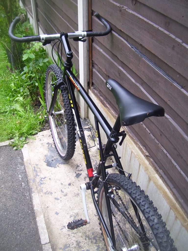 100_5428.jpg