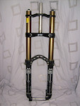 spbpic2533203.jpg