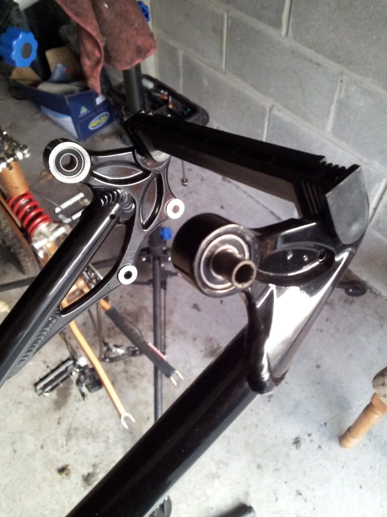 20111226_095026.jpg