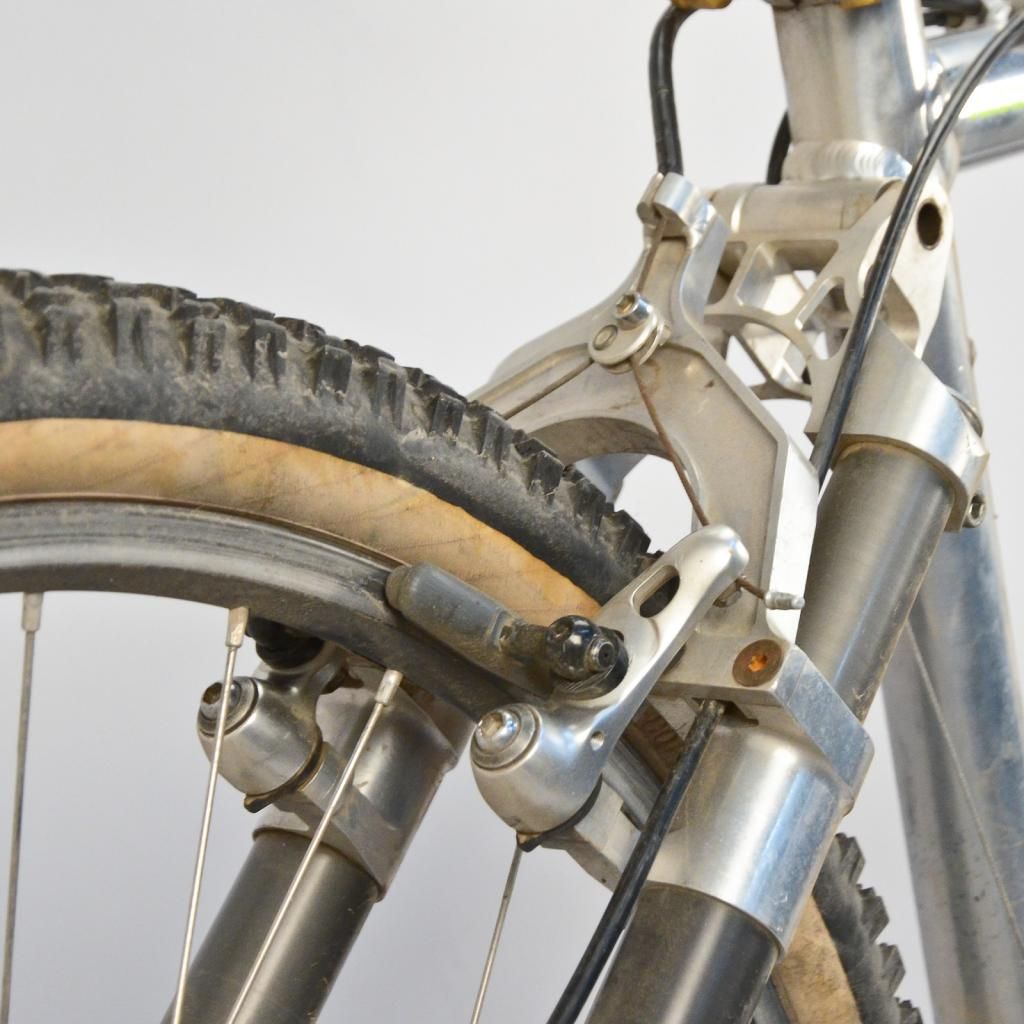 travisbrownmtb-10.jpg