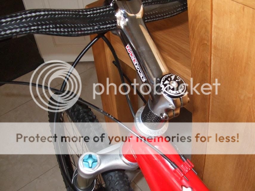 DSCF1166.jpg