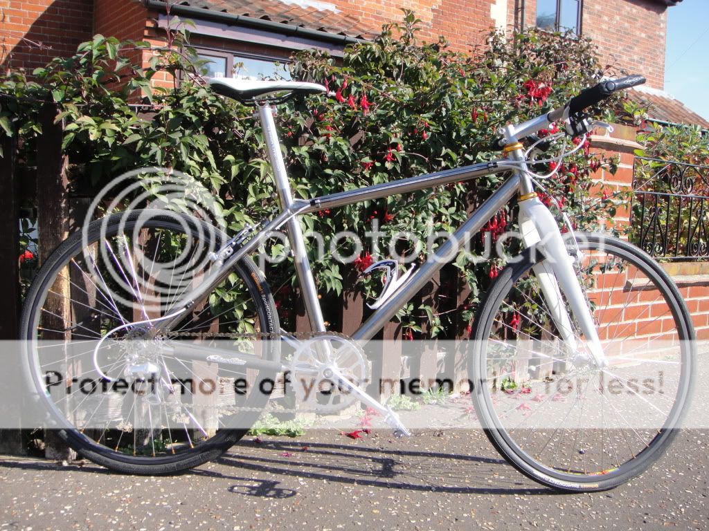 forsale001.jpg