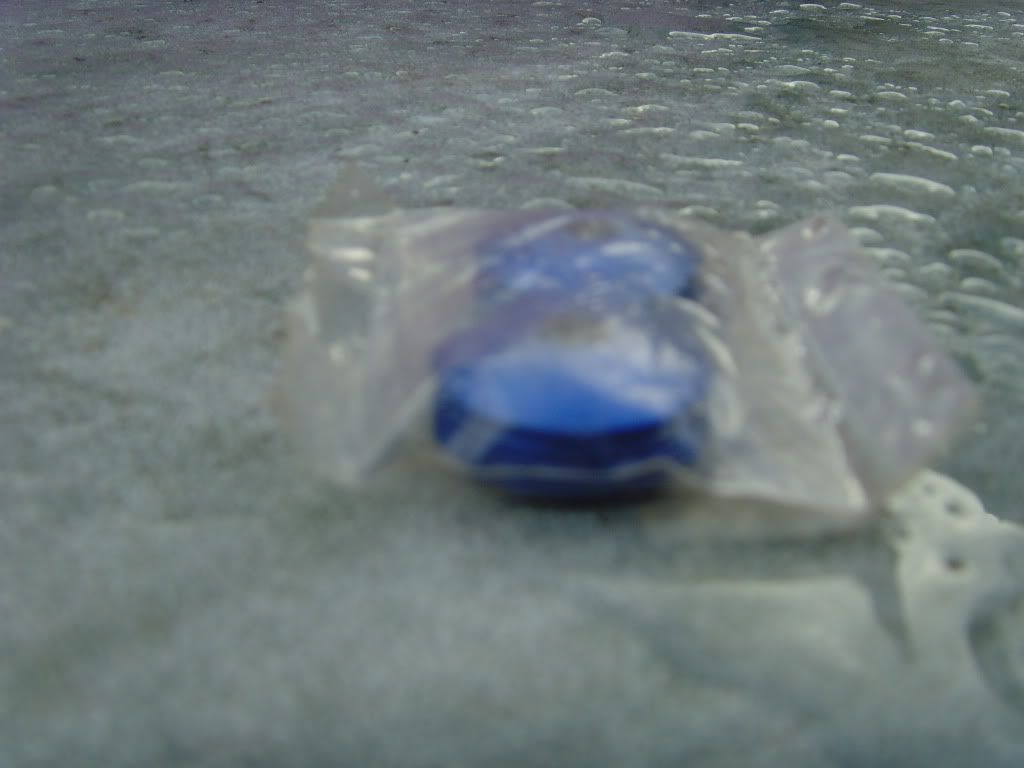 SNV36214.jpg
