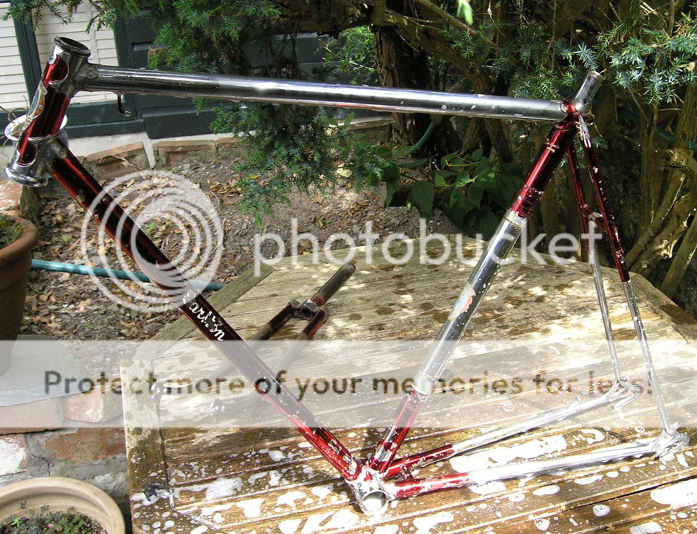 P6141198_zps271eca40.jpg