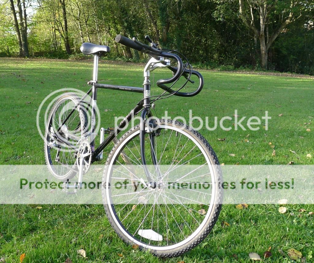 bv2_zps2d2b64e8.jpg