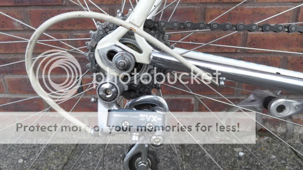 SAM_2092_zps09af6695.jpg