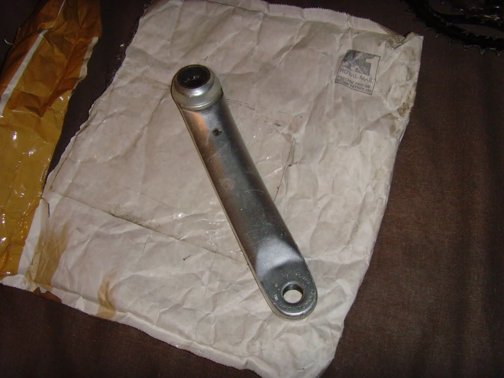SNV33983.jpg