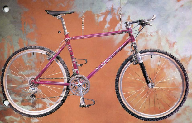 93-Kili-XTR-Elite-cat.jpg