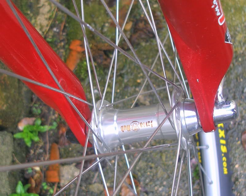 kus9.jpg