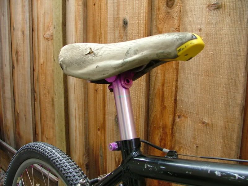 DSCF4279.jpg